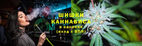jwh Богородицк