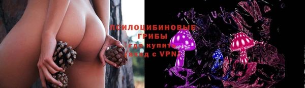 трава Богданович