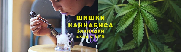 трава Богданович