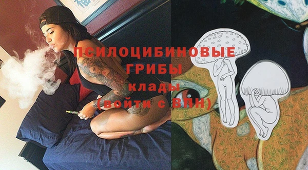трава Богданович