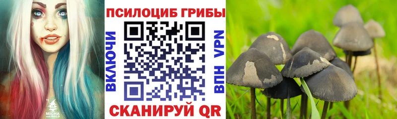 маркетплейс Telegram  Короча  Псилоцибиновые грибы ЛСД 